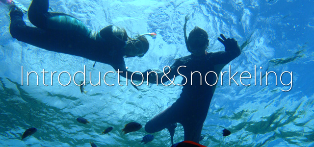 introduction&Snorkering.jpg