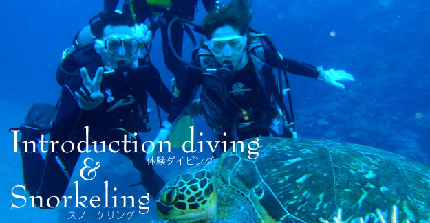 Introduction diving&Snorkeling