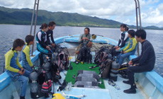Introduction diving (1DIVE+1 Snorkeling)